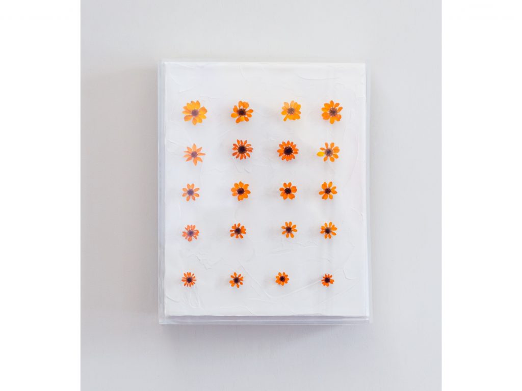 Último día de primavera